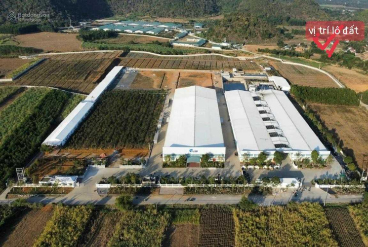 “Em còn 2 lô bám trục vành đai Khu công nghiệp Thạch Quảng, Thạch Thành, Thanh Hoá.