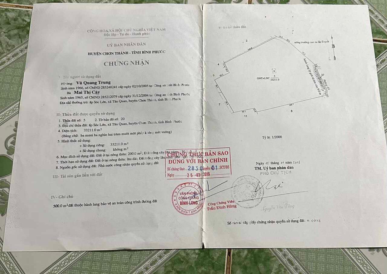 CHÍNH CHỦ BÁN 2HA CAO SU – GIÁ CỰC SỐC Tại Sóc Lớn, Tân Quang, Chơn Thành, Bình Phước