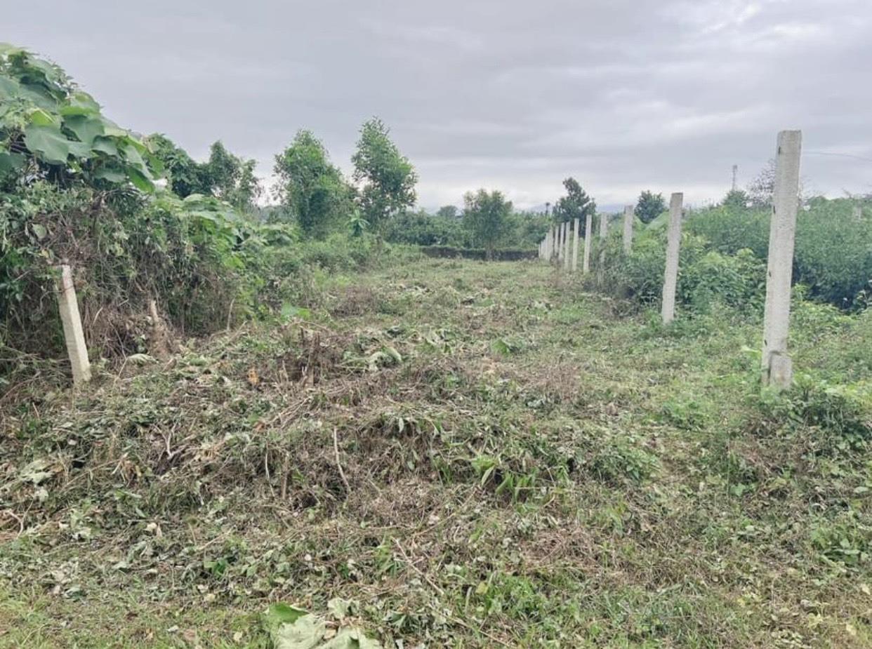 Chính Chủ Cần Bán Lô Đất - Giá Ưu Đãi - Tại Xã Hòa Ninh, Huyện Hòa Vang, Đà Nẵng