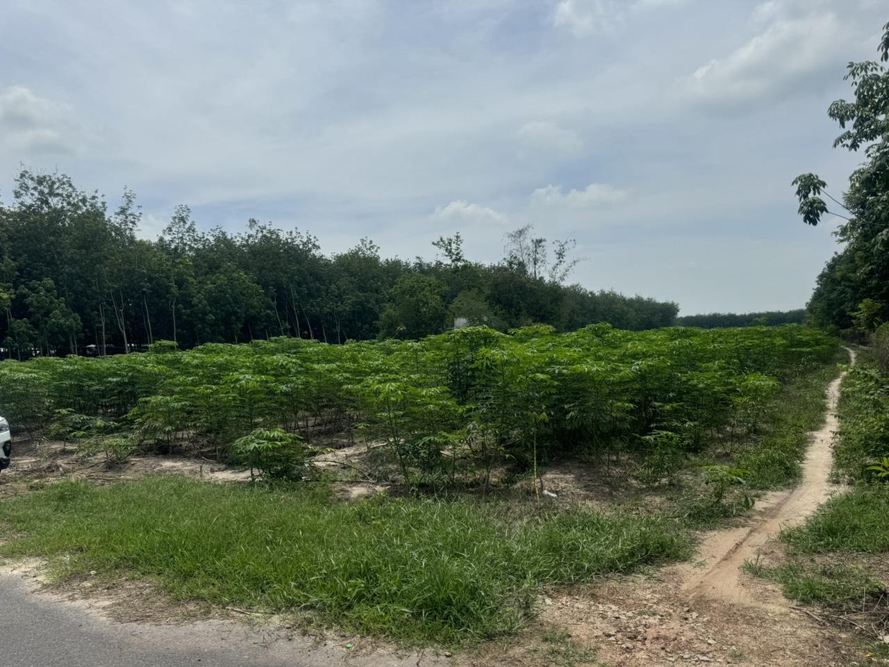 CHÍNH CHỦ BÁN Nhanh Lô Đất vị trí đẹp- giá tốt tại Lai Uyên - Bàu Bàng - Bình Dương