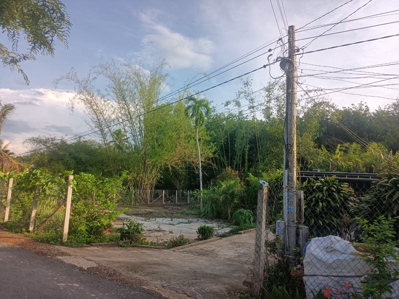 %%CHÍNH CHỦ CẦN BÁN ĐẤT TẶNG NHÀ Ở XÃ LỢI THUẬN – HUYỆN BẾN CẦU – TÂY NINH.