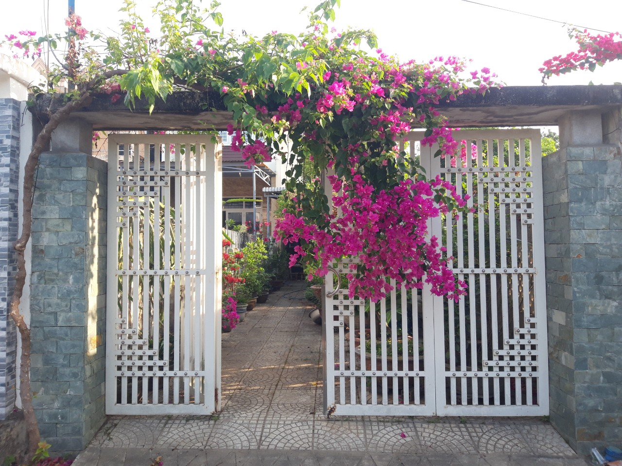 “Bán nhà tại Tp Quảng Ngãi => Liên hệ 0941646683