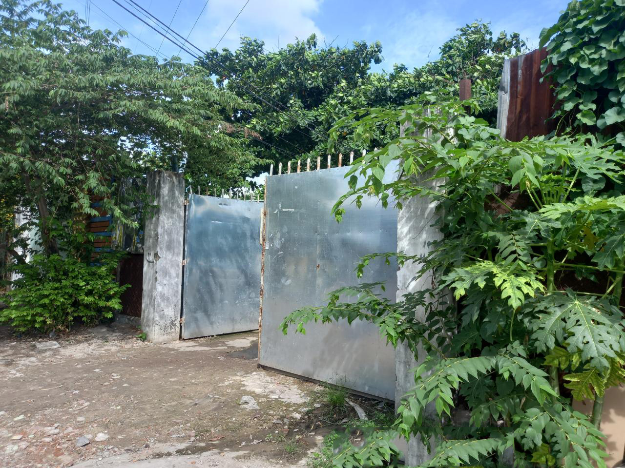 Bán nhà xưởng MT An Phú Đông 25 Q12, 541m2, 276tr/n, ngang 8m, Đường 8m giá giảm hơn 500tr