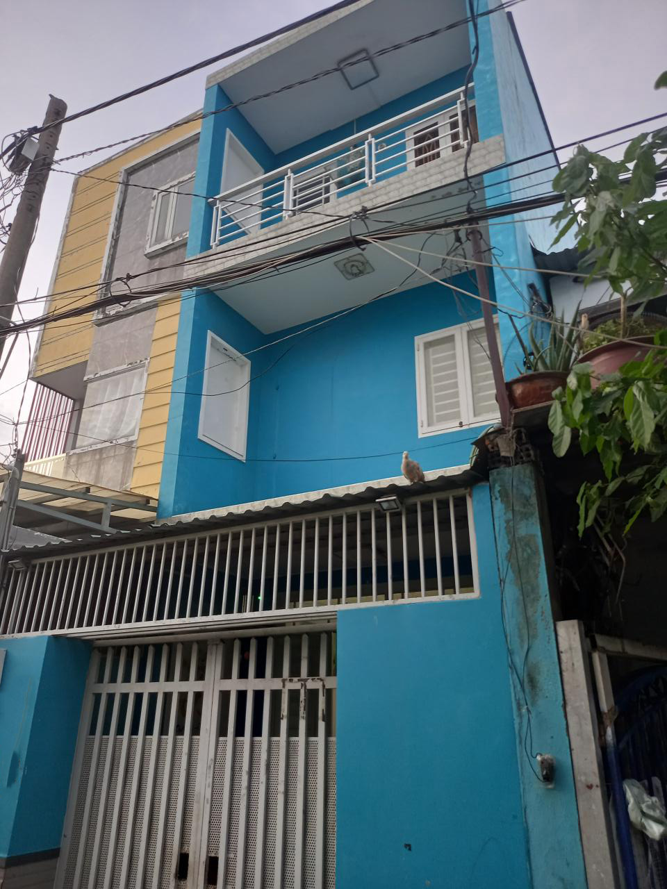 Bán nhà Vườn Lài Q12, 56m2, 1L, 3 PN, N4m, Đ. 3m giá giảm còn 4.x tỷ