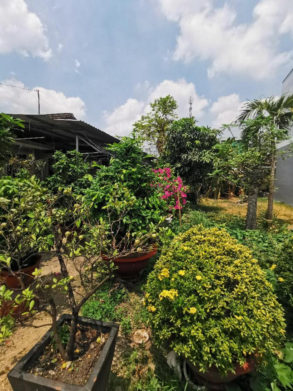 Bán đất Nguyễn Văn Bứa HM, 164m2, nở hậu, ngang 6m, Đ. 3m giá chỉ 3.x tỷ