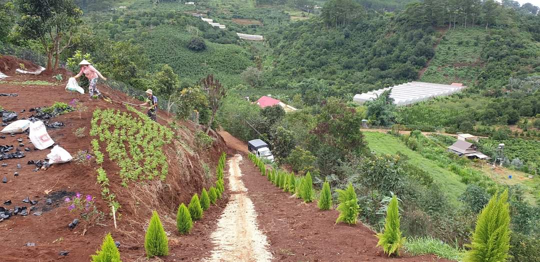 CẦN TIỀN CHÍNH CHỦ BÁN MẢNH ĐẤT Vị Trí Đẹp Tại Xuân Sơn, Thành Phố Đà Lạt