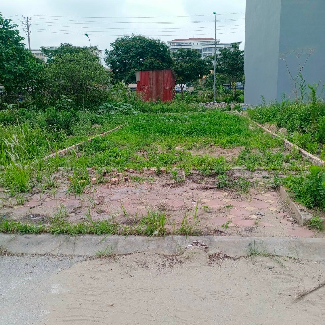 Bán đất tái định cư Trâu Quỳ khu 7.2ha- 59m2 View vườn hoa phân lô. 0982852808