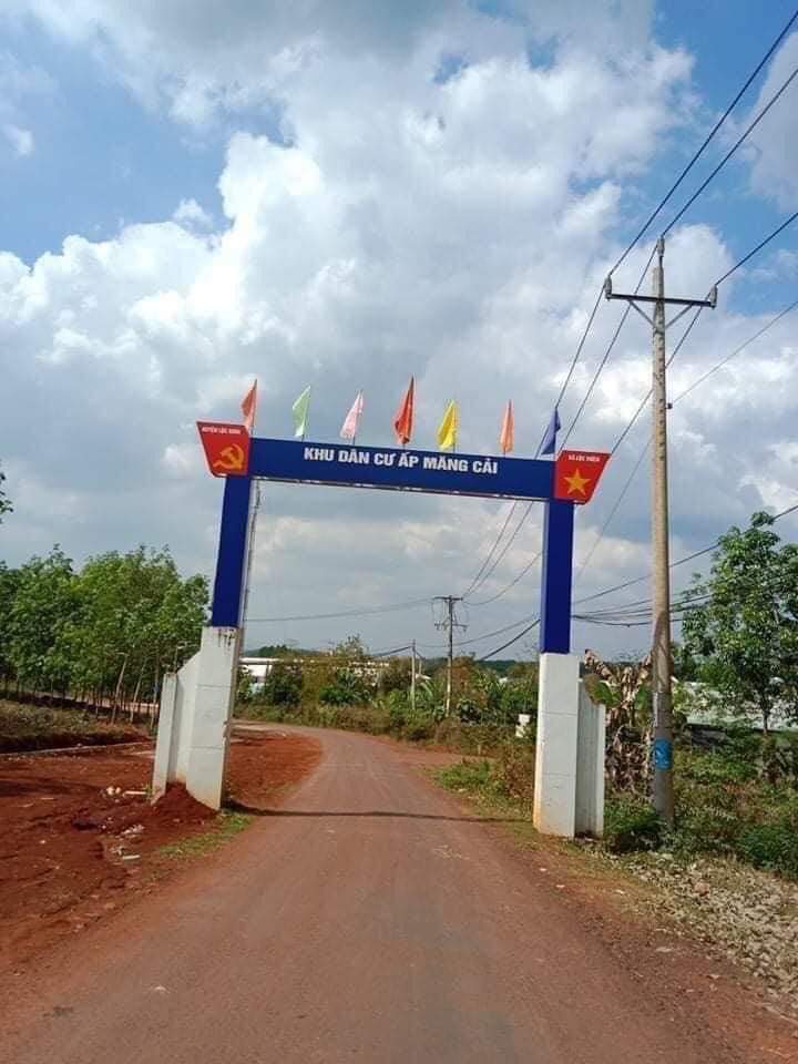 Chính Chủ Cần Bán Đất Tại Ấp Măng Cải, Lộc Thiện, Lộc Ninh, Bình Phước.