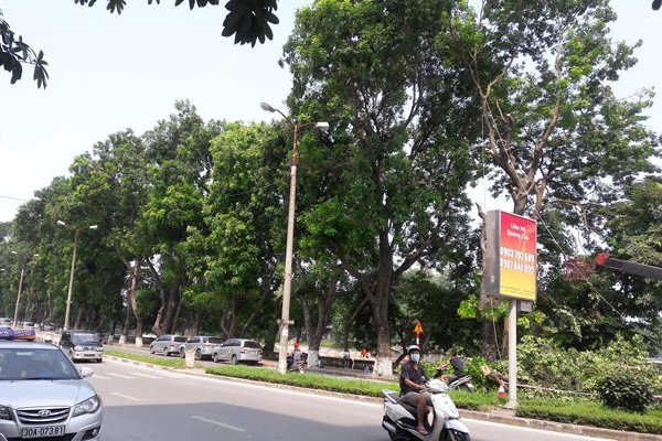 CHỈ 16.5 TỶ SIÊU PHẨM KIM MÃ, BA ĐÌNH-Ô TÔ TRÁNH-MẶT TIỀN KHỦNG-KINH DOANH