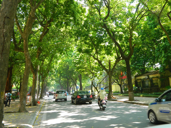 DUY NHẤT! CHỈ 15.8 TỶ PHÂN LÔ Ô TÔ ĐỘI CẤN, BA ĐÌNH-LÔ GÓC-THOÁNG SÁNG-KINH DOANH