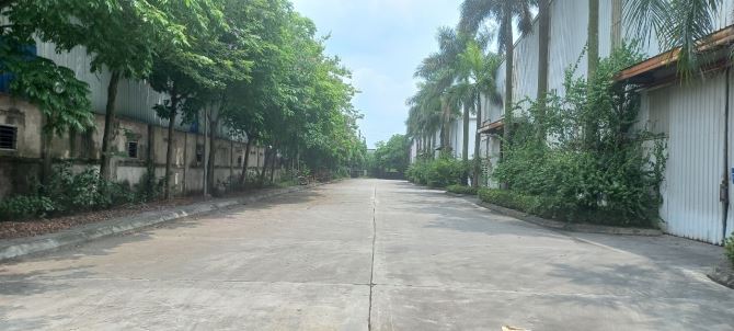BÁN ĐẤT KHO XƯỞNG CỤM CÔNG NGHIỆP NINH HIỆP – GIA LÂM – HÀ NỘI.