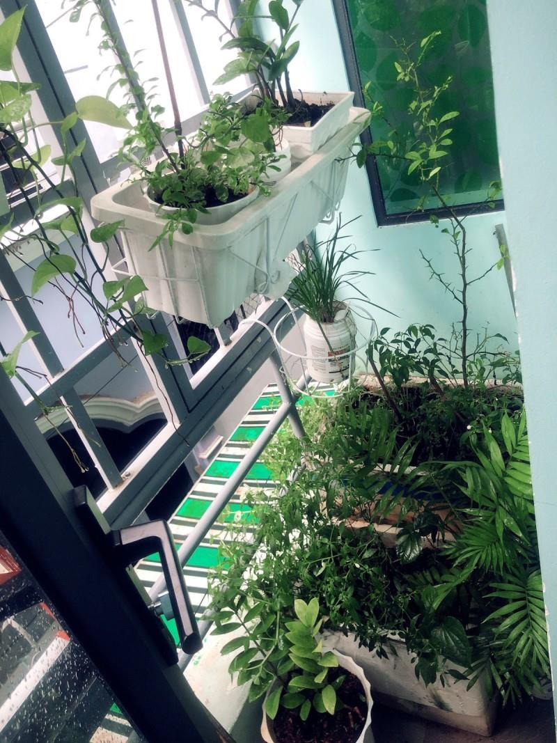 BÁN NHÀ 25M2 ĐƯỜNG QUANG TRUNG P8 GV GẦN TRƯỜNG HỌC CẤP 1-2-3 , TT YTE P8 GIÁ CHỈ 3,1T TL