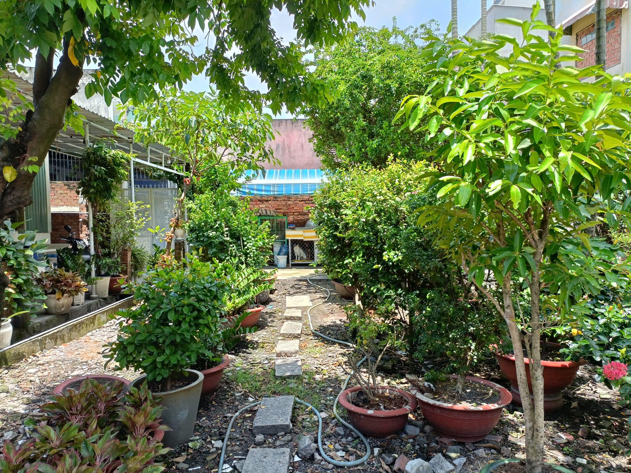 Bán 8 Lô khu đất Thổ Cư, trước mặt Kinh Doanh Vip, trung tâm Thạnh Lộc. Q12. cạnh bên Gò Vấp, gần cạnh tỉnh bình dương.