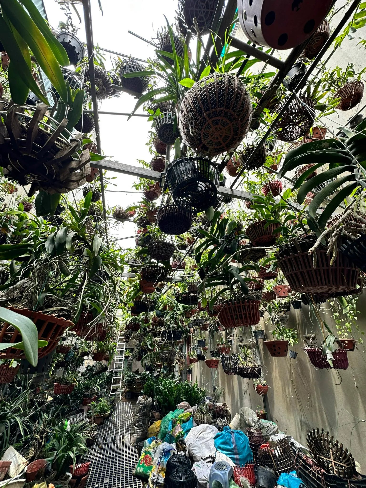 Bán nhà mặt phố Hoàng Hoa Thám, Ba Đình vỉa hè, kinh doanh sầm uất 86m 19.0 tỷ