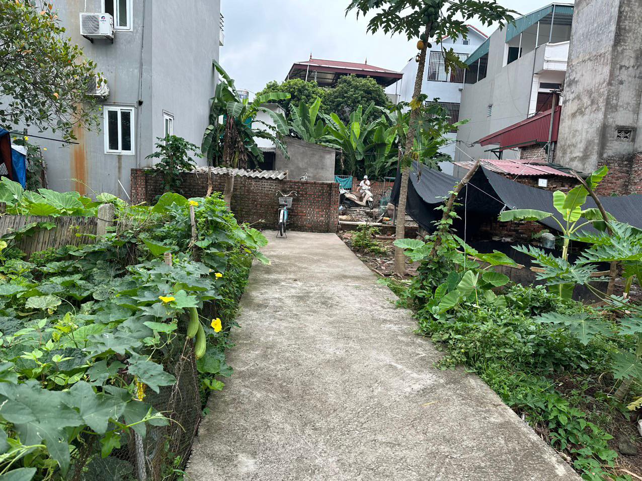 Bán 41m2 đất Kim Sơn Gia Lâm giá chỉ 1.1x tỷ