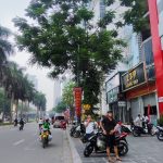  440m2 - 4