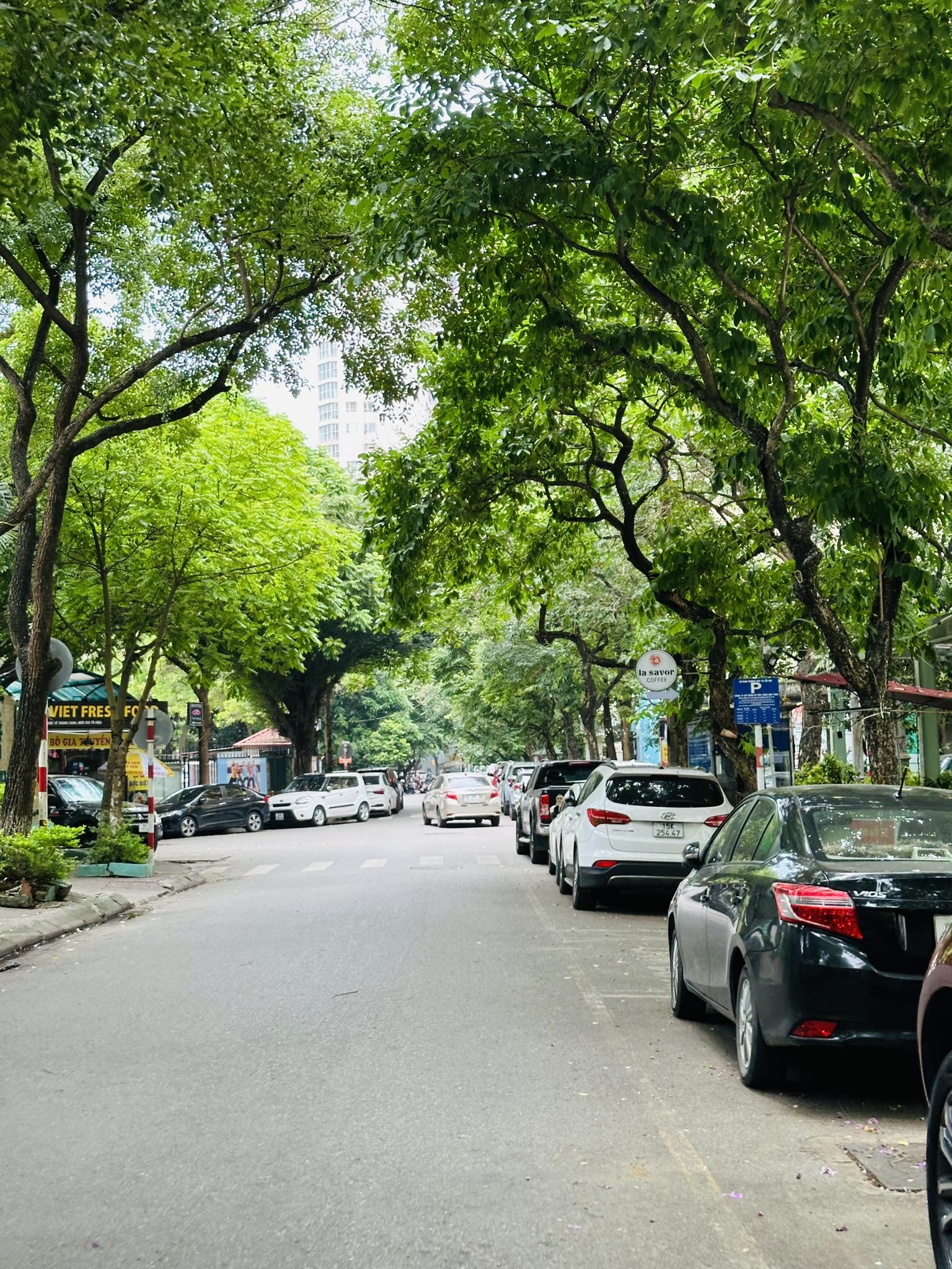 HIẾM! PHÂN LÔ Ô TÔ TRÁNH VÕ CHÍ CÔNG, CẦU GIẤY-7 TẦNG THANH MÁY-KD VĂN PHÒNG