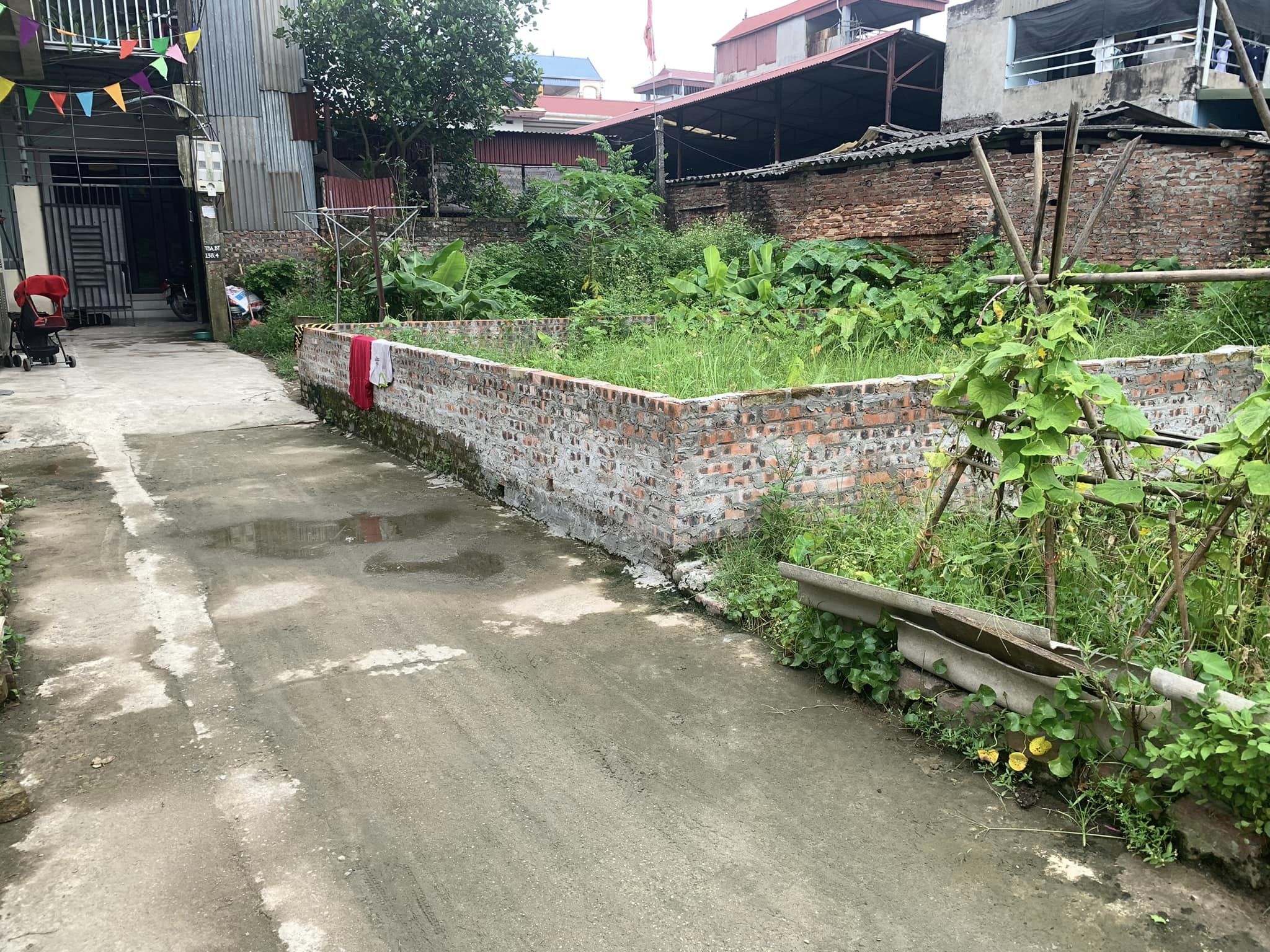 Rẻ nhất khu vực 51,9m2 đất thôn Bến Trung, Bắc Hồng, Đông Anh, Hà Nội.