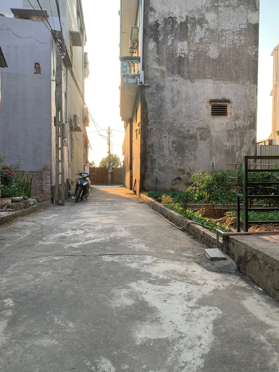 Chỉ 1,x tỷ có lô đất 41m tại Cổ Dương, Tiên Dương cách trường quốc tế Archimedes chỉ 200m Cách đường oto chạy chỉ 60m.