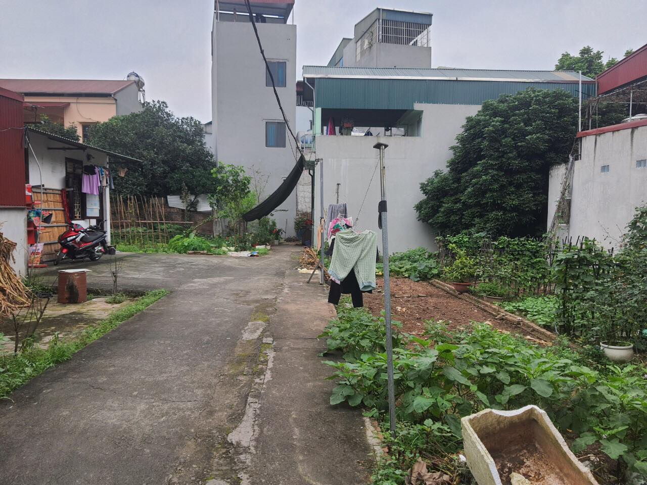 Bán nhanh 50m2 đất Sen Hồ Lệ Chi giá nhỉnh 1 tỷ