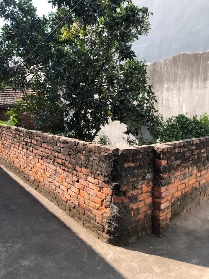 Bán lô góc 56m2 đất Đặng Xá, Gia Lâm giá nhỉnh 2 tỷ