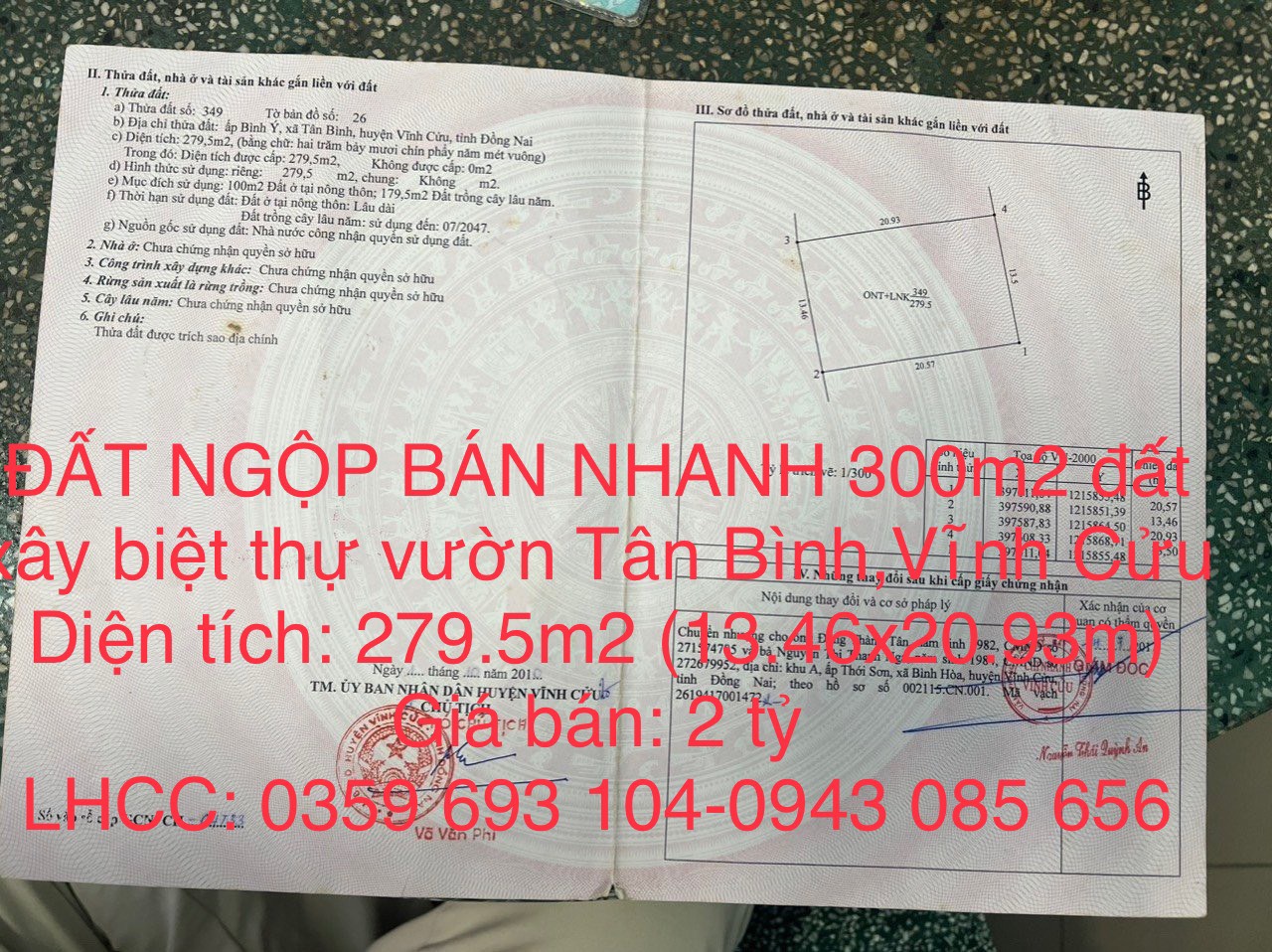 ĐẤT NGỘP BÁN NHANH 300m2 đất xây biệt thự vườn xã Tân Bình,Vĩnh Cửu