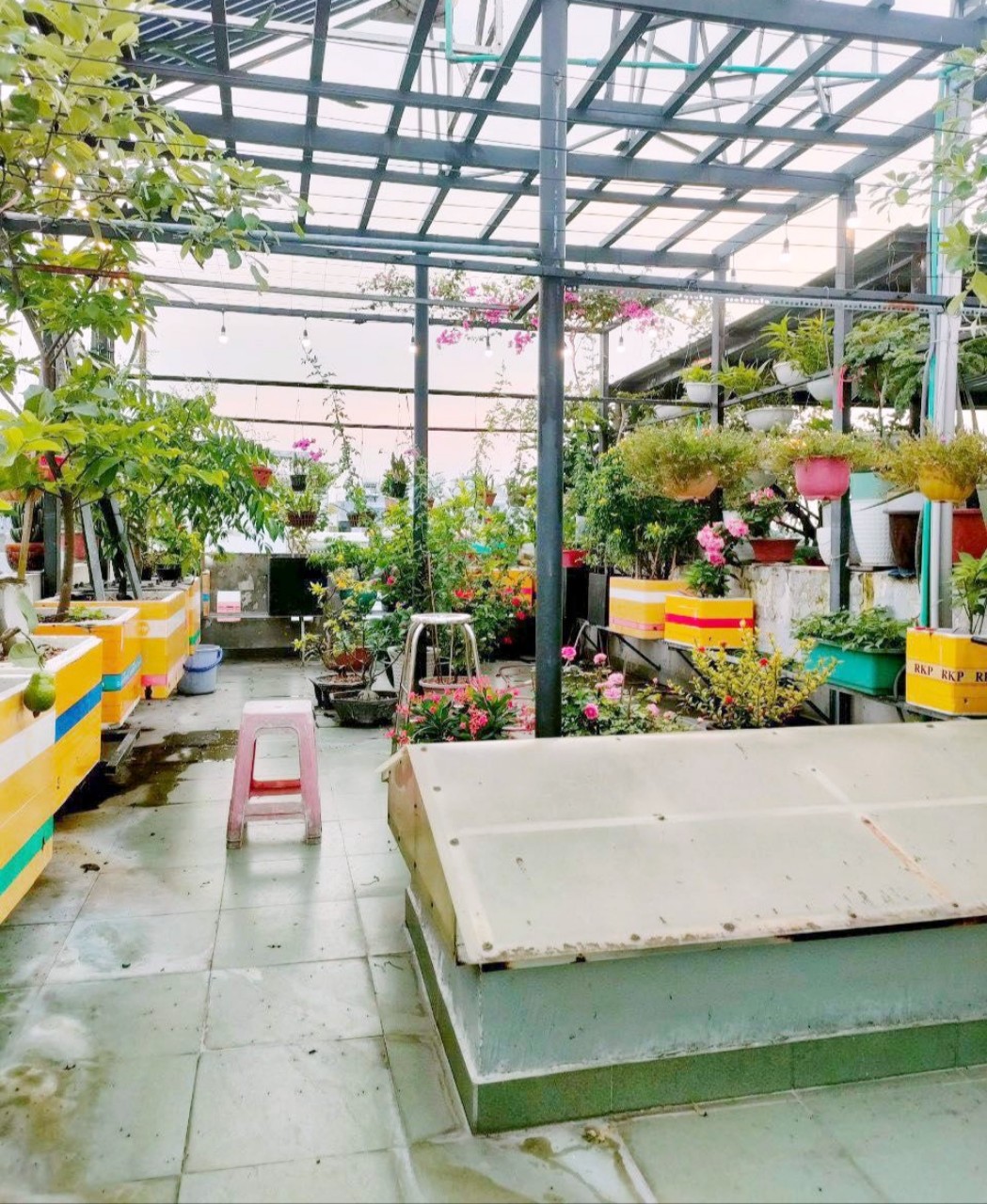 Bán Mặt Tiền Kinh Doanh 3 Tầng 4,3×13 Quang Trung Gò Vấp Hơn 6 Tỷ 2