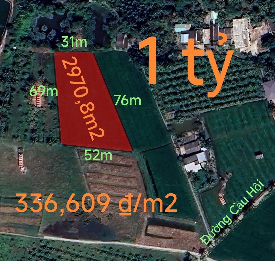 Bán lô đất lúa không dính quy hoạch gần quốc lộ 50B giá 1 tỷ