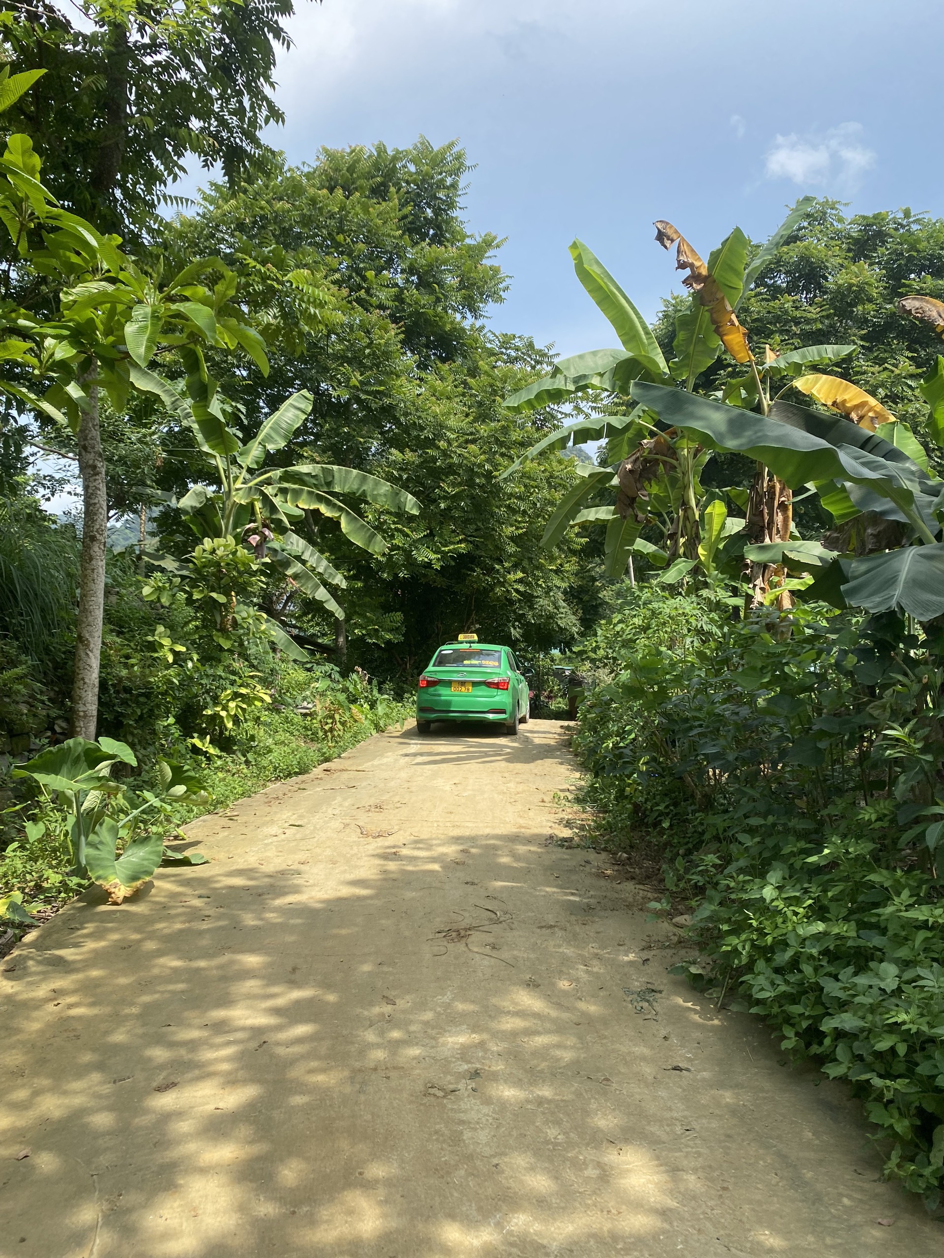 em cần bán gấp lô đất dưới quê hòa bình diện tích 1672 m2 giá 1 tỷ