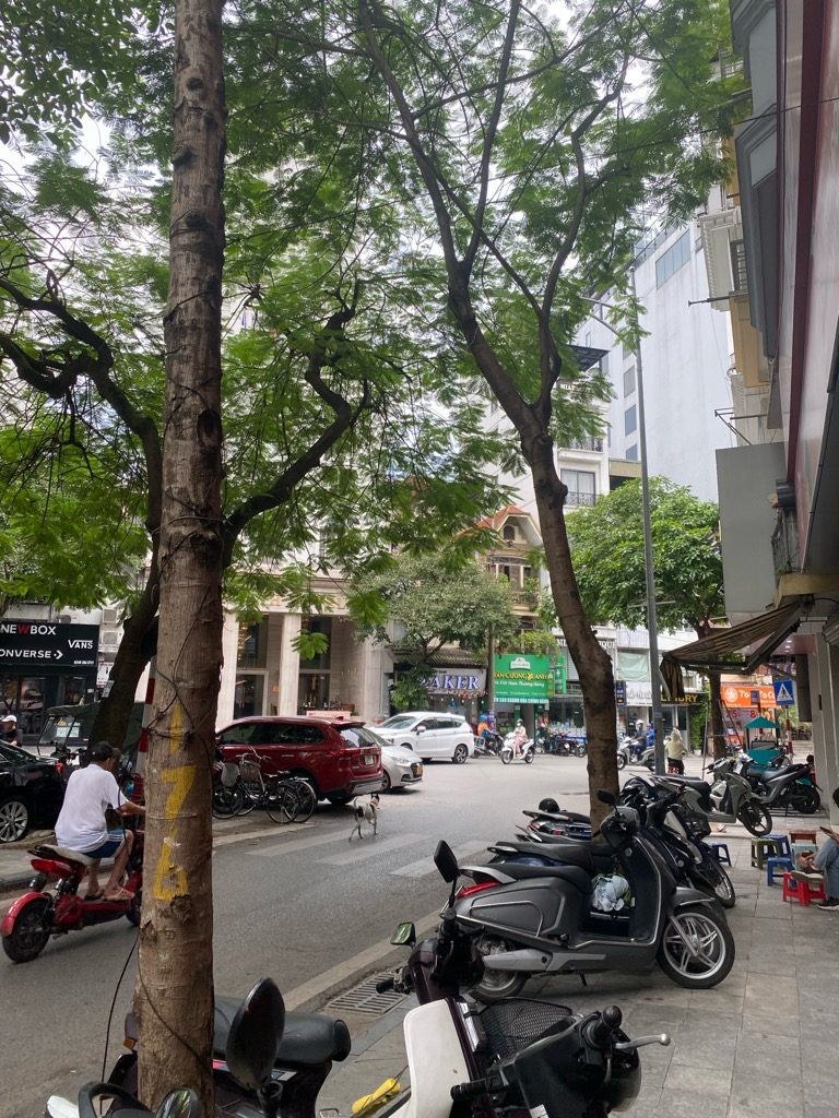 TÌM ĐÂU RA – MẶT PHỐ THÁI THỊNH – 80M X 15.5 TỶ - 1 CĂN – KINH DOANH SẦM UẤT – MỞ CỬA TIỀN VÀO
