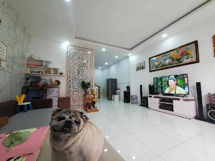 Bán nhà cách hẻm XH 100m ngang 5 nở hậu 6m Hoàng Hoa Thám Nguyễn Văn Đậu giáp Phú Nhuận, nhỉnh 6 tỷ