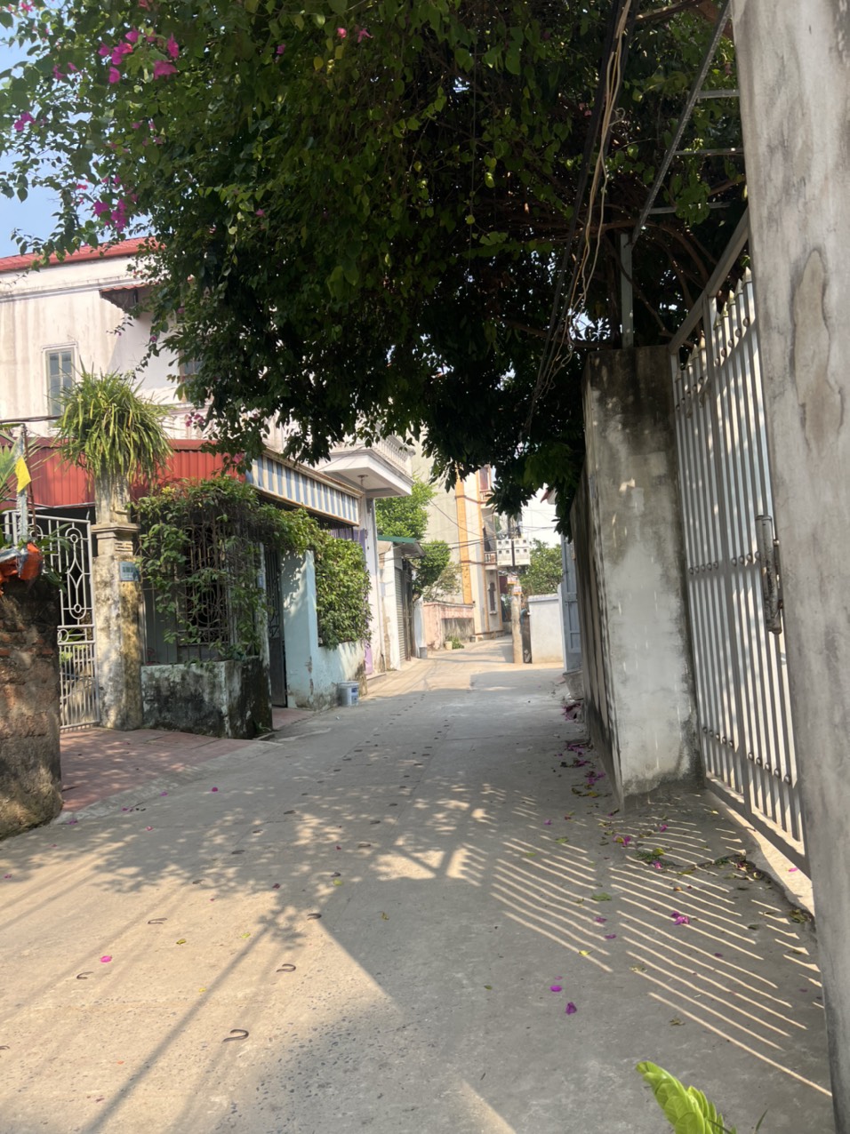 chính chủ bán nhanh 30m đất trong đê đồng mai đường ô tô