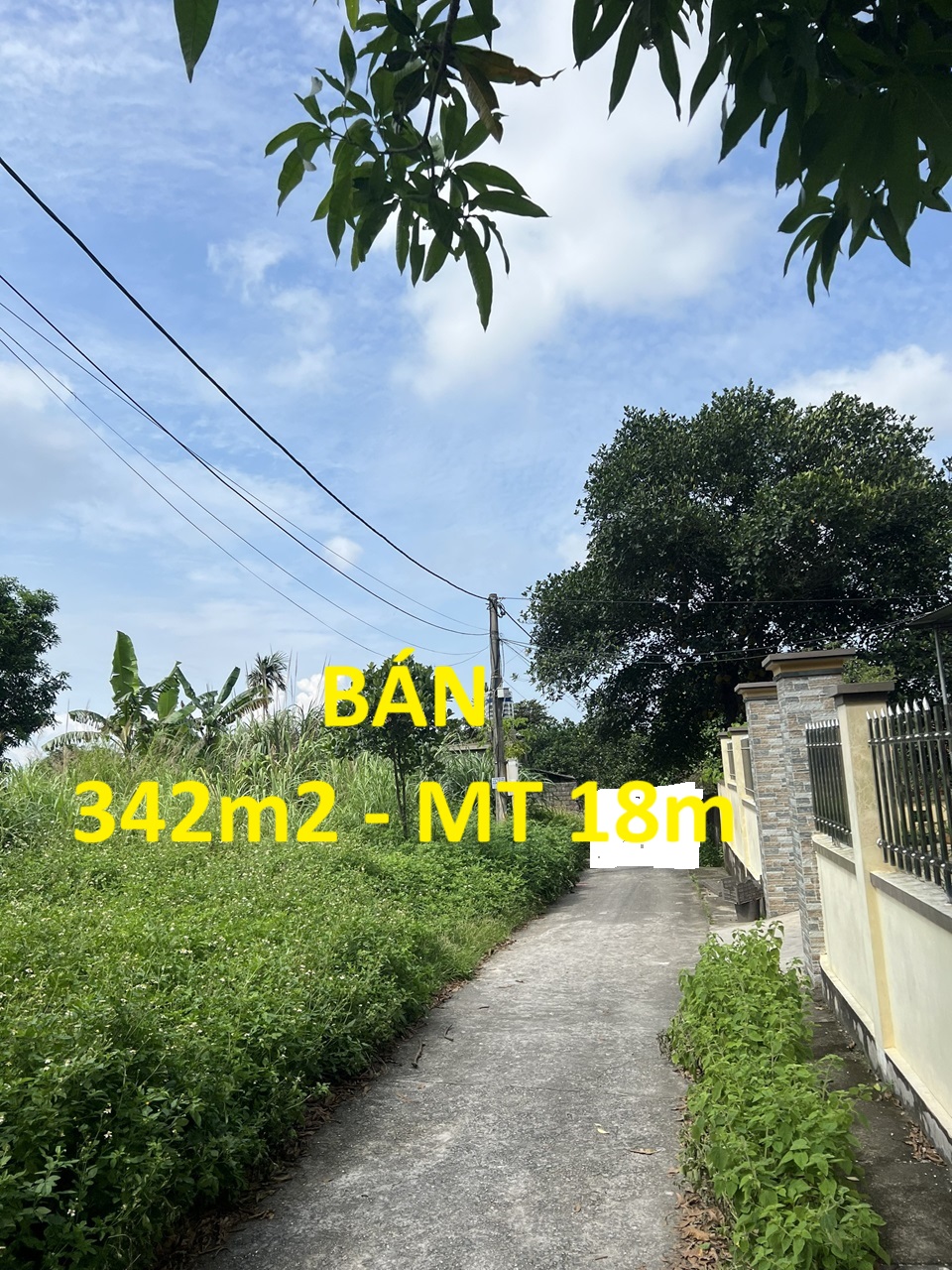 Phát mại 342m2 đất Cẩm Thịnh, Cẩm Phả (Ngõ 400 Trần Quốc Tảng), MT 18,25m, 1.9 tỷ