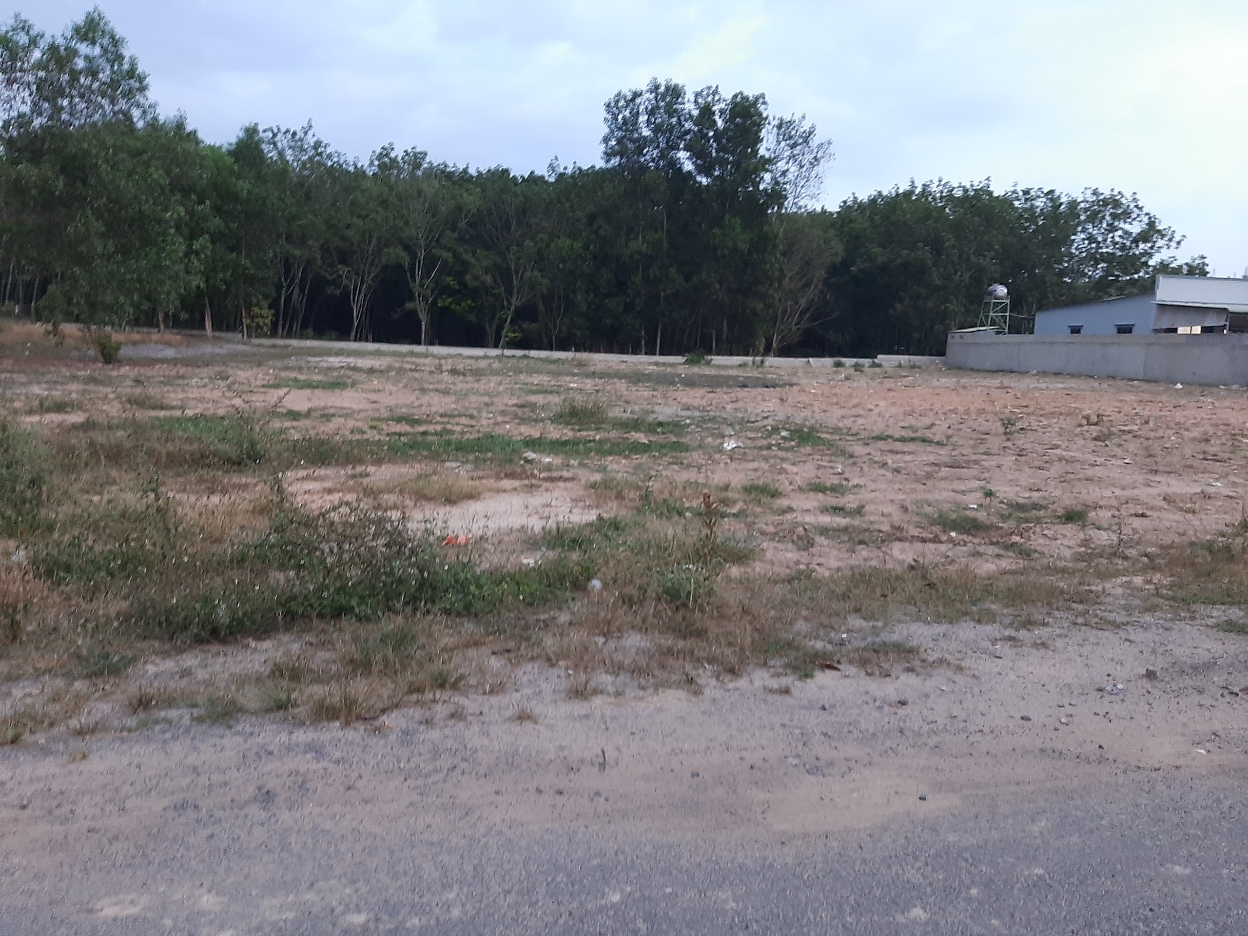 Bán đất Lộc An Long Thành Đồng Nai, giá tốt , đất dẹp, đầu tư sinh lời