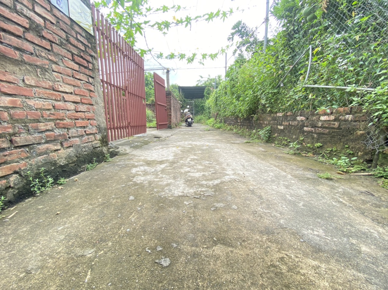 đất trong đê Đồng Mai - ngõ trước đất ô tô đỗ chỉ hơn tỷ