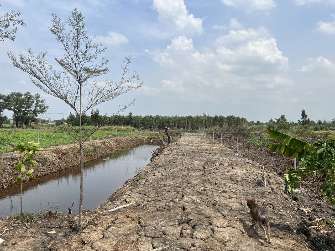 Chính Chủ Cần Bán Gấp Đất Nông Nghiệp Vị Trí Đẹp