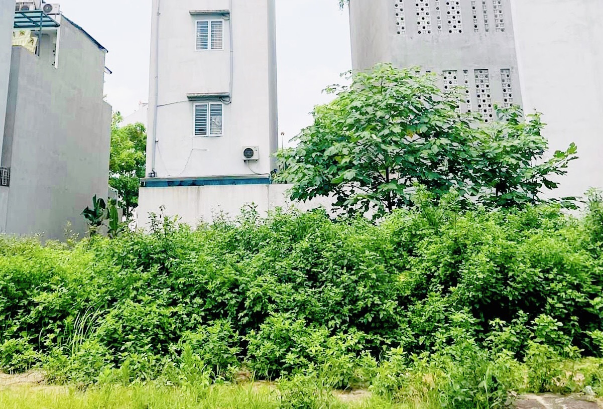 Bán đất sau Quận Uỷ, Sở Dầu, Hồng Bàng, Hải Phòng. Không lỗi lầm. 100m2- 6,7 tỷ.