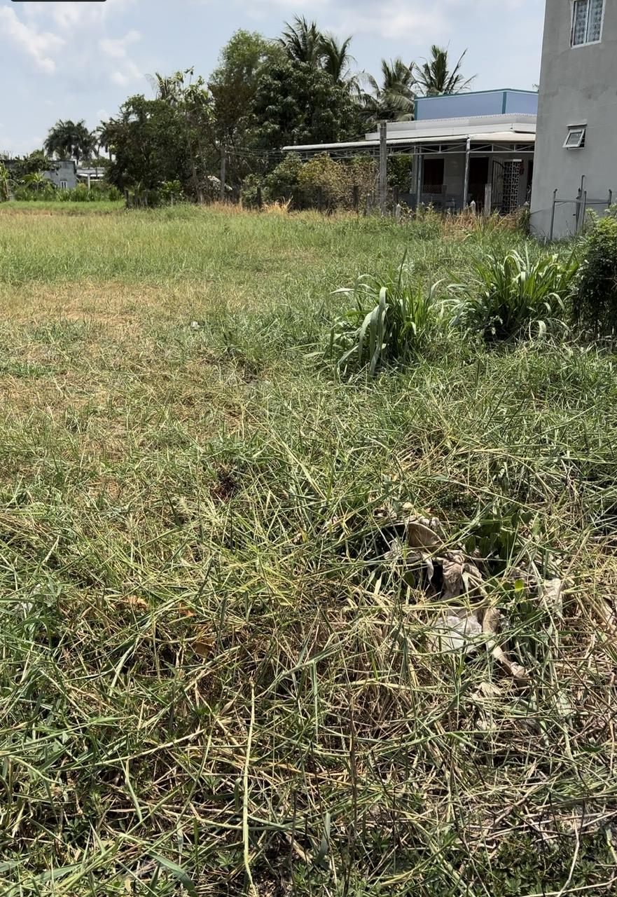 BÁN NHANH 2 LÔ ĐẤT LIỀN KỀ TẠI Ấp 5, xã Bình Xuân, Tp Gò Công, Tiền Giang