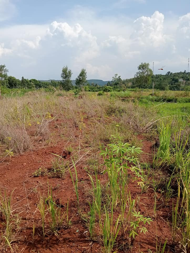 __ CHÍNH CHỦ CẦN BÁN LÔ ĐẤT ĐẮK ĐRÔ - KRÔNG NÔ - ĐẮK NÔNG