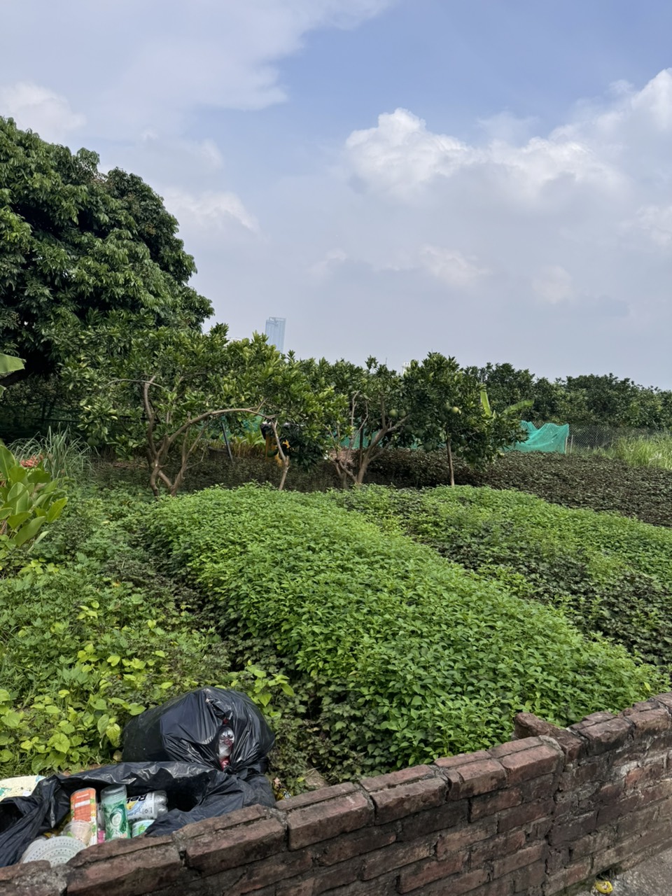 1.85 tỷ sở hữu ngay 40m đất Kiêu Kỵ Gia Lâm giáp Vinhome, 10m ra trục chính oto tránh nhau,