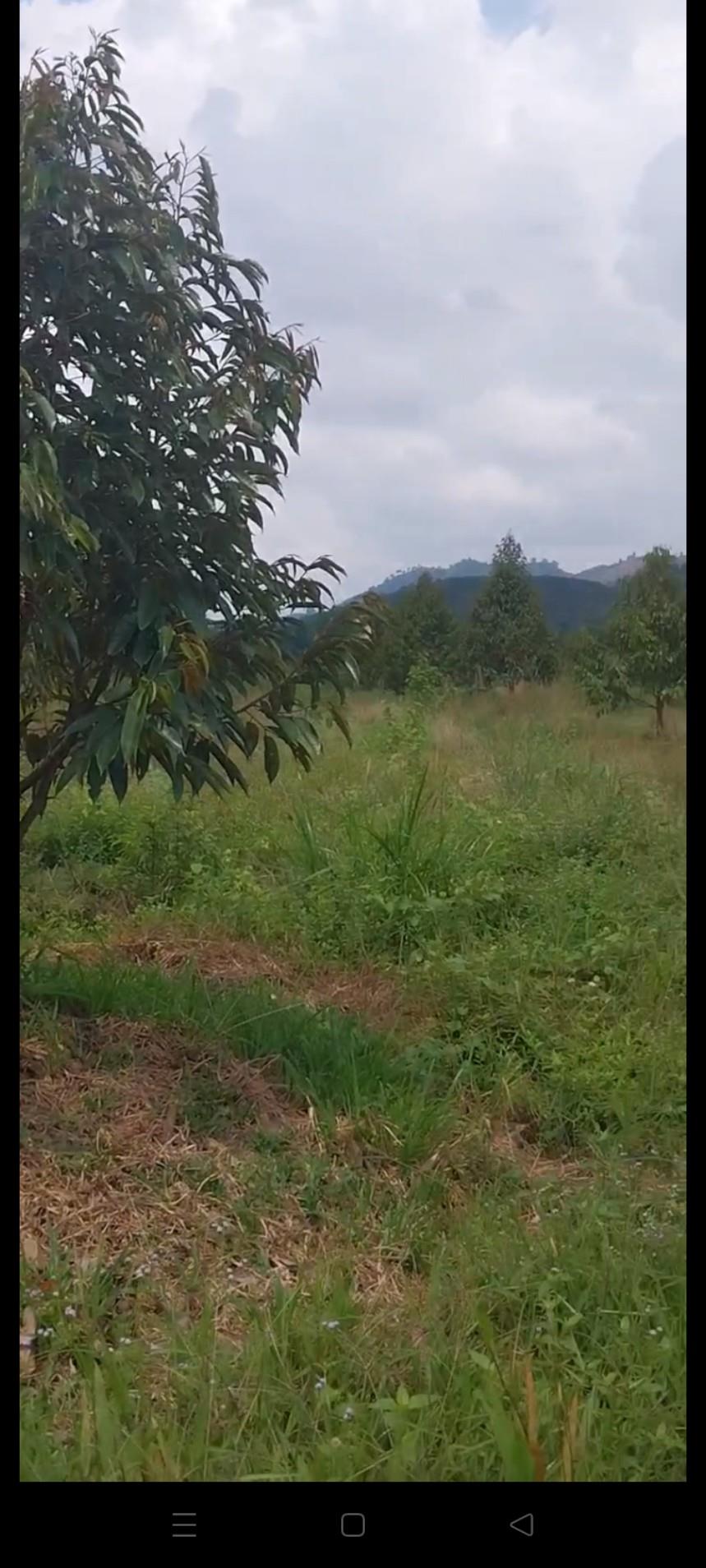 ĐẤT ĐẸP – GIÁ CỰC SỐC – CHÍNH CHỦ CẦN BÁN 3 LÔ ĐẤT tại Cát Tiên, Lâm Đồng