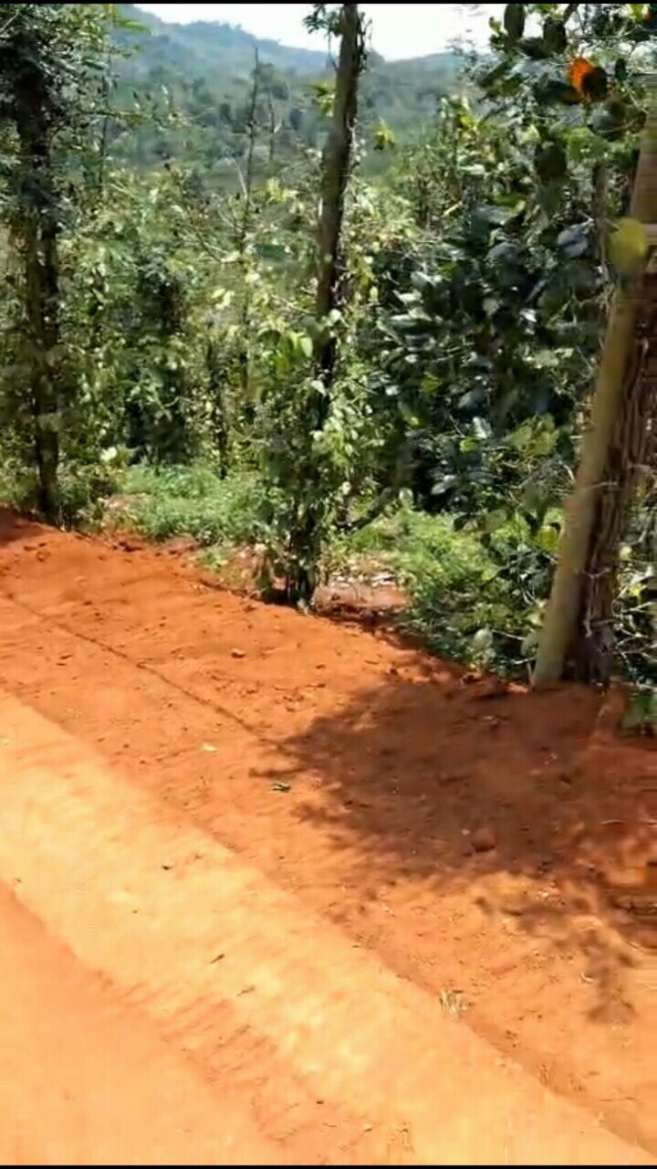 %CẦN BÁN LÔ ĐẤT TẠI XÃ ĐĂK HA - HUYỆN ĐĂK GLONG- Tỉnh ĐĂK NÔNG