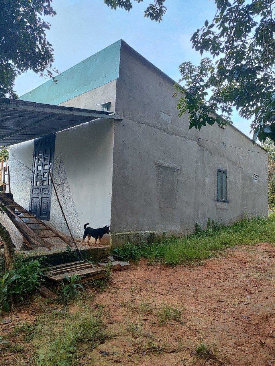 NHÀ ĐẤT ĐẸP – GIÁ TỐT – CHÍNH CHỦ BÁN NHÀ ĐẤT TẠI Thôn Nam Hà, xã Nam N'Đir, Huyện Krông Nô