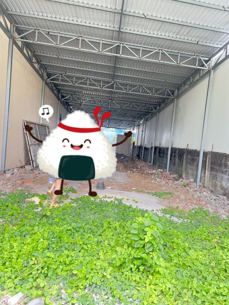 Cho Thuê Mặt Bằng Kho Xưởng Tại Phú Hòa, Thủ Dầu Một, Bình Dương - Đường Xe Công, Diện Tích 300m²