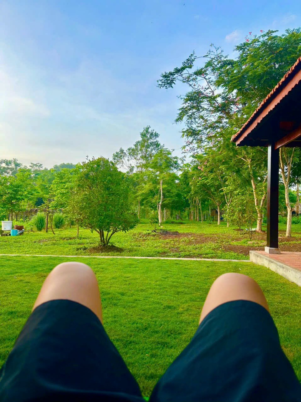 Chính Chủ Bán vườn rừng "Truyện Nhiên" Diện tích: 12000m2 Giá bán: 9 tỉ ( đã bao gồm thuế phí.) Bù Đốp, Bình Phước