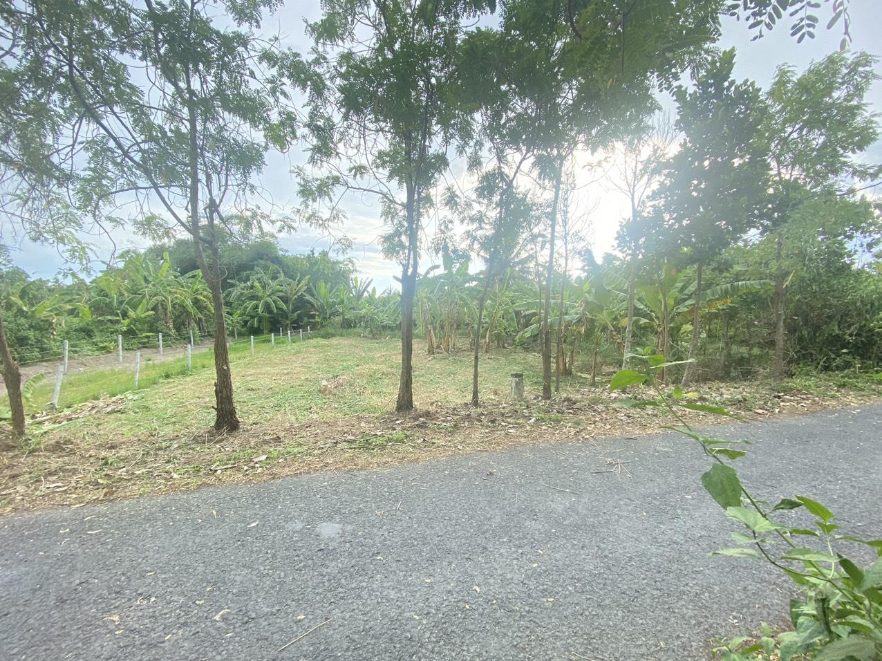 CHÍNH CHỦ Bán Lô Đất Tại xã Mỹ Thuận , huyện Bình Tân, Vĩnh Long