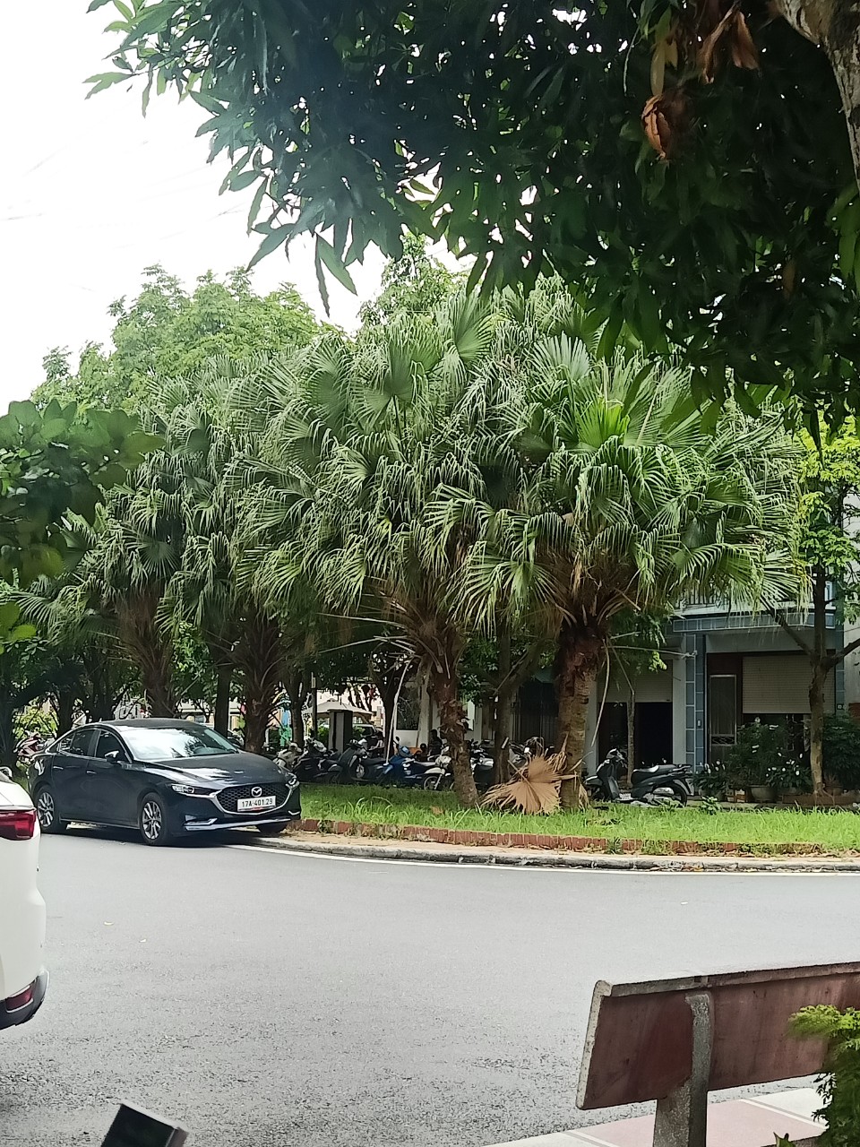 Bán Đất KĐT Trần Hưng Đạo- TP Thái Bình. Diện tích 85 m².