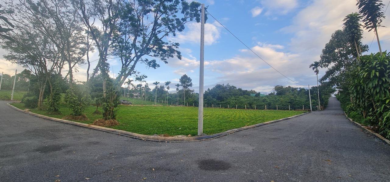 ~~ HOT ! CHÍNH CHỦ CẦN BÁN NHANH LÔ ĐẤT NGAY TRUNG TÂM XÃ LỘC AN - BẢO LÂM - LÂM ĐỒNG