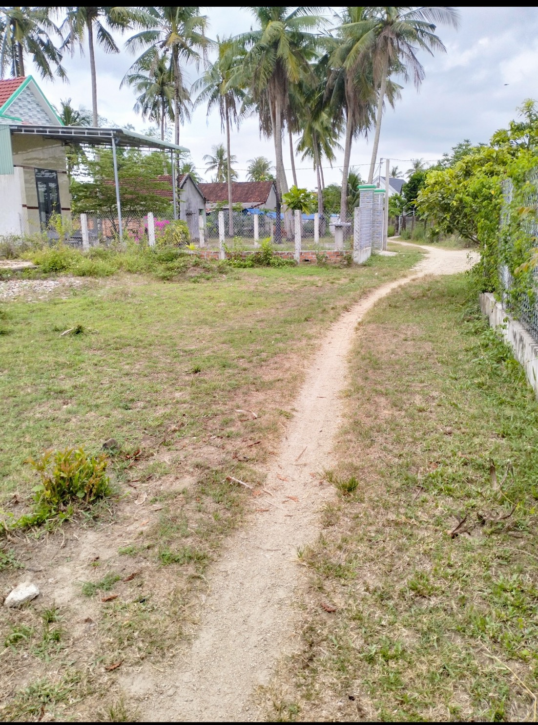 '' BÁN ĐẤT TẠI KP LẠC ĐÔNG 2, THỊ TRẤN PHÙ MỸ, HUYỆN PHÙ MỸ, BÌNH ĐỊNH