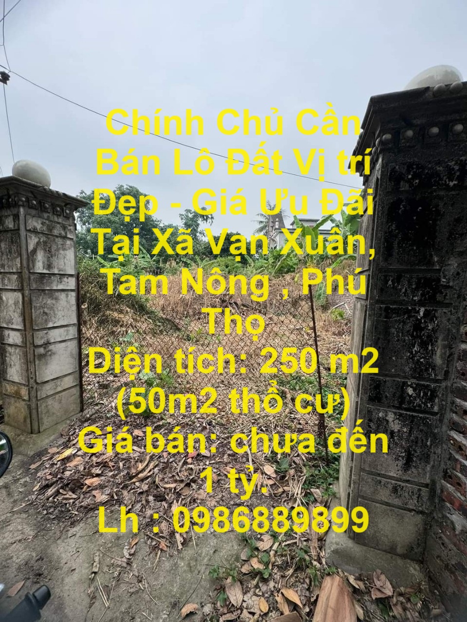 Chính Chủ Cần Bán Lô Đất Vị trí Đẹp - Giá Ưu Đãi Tại Xã Vạn Xuân, Tam Nông , Phú Thọ